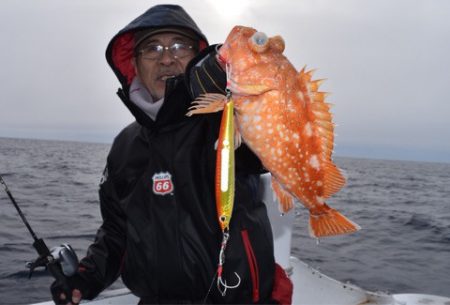 渡船屋たにぐち 釣果