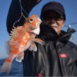 渡船屋たにぐち 釣果