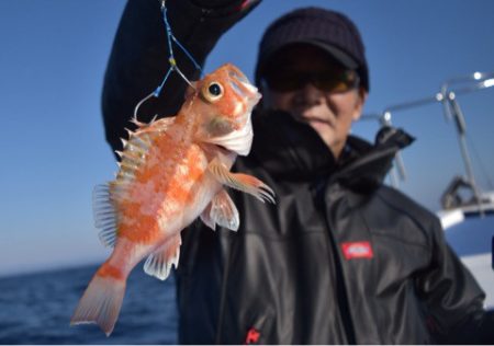 渡船屋たにぐち 釣果