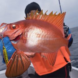 渡船屋たにぐち 釣果