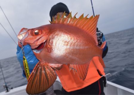 渡船屋たにぐち 釣果