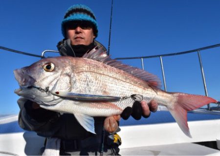 渡船屋たにぐち 釣果