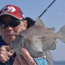 渡船屋たにぐち 釣果