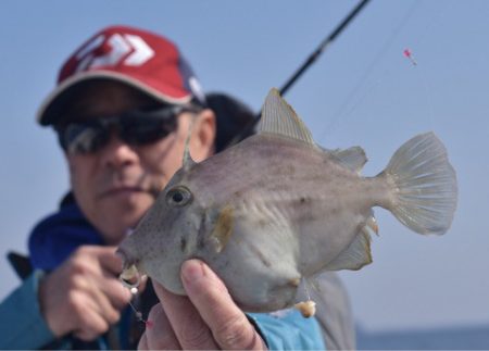 渡船屋たにぐち 釣果