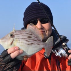 渡船屋たにぐち 釣果