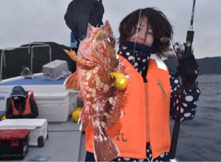 渡船屋たにぐち 釣果