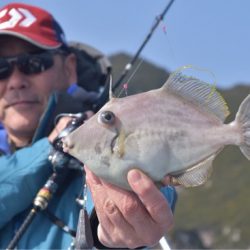 渡船屋たにぐち 釣果