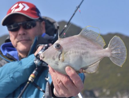 渡船屋たにぐち 釣果