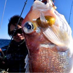 渡船屋たにぐち 釣果