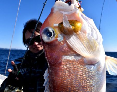 渡船屋たにぐち 釣果