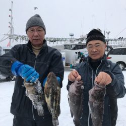 シーランチ 釣果