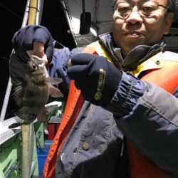 ヤザワ渡船 釣果