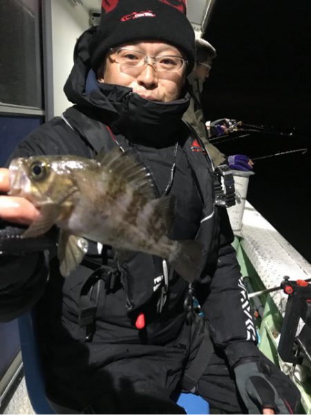 ヤザワ渡船 釣果