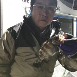 ヤザワ渡船 釣果