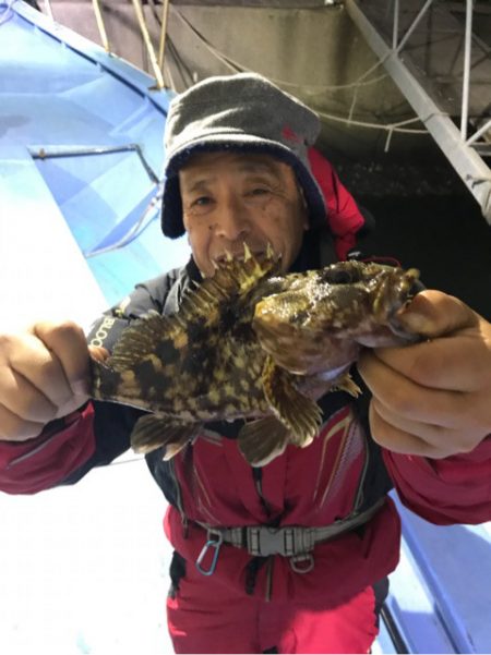 ヤザワ渡船 釣果