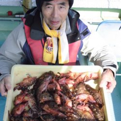 ヤザワ渡船 釣果