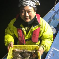 ヤザワ渡船 釣果