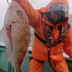 だて丸 釣果