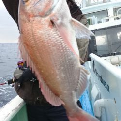 だて丸 釣果