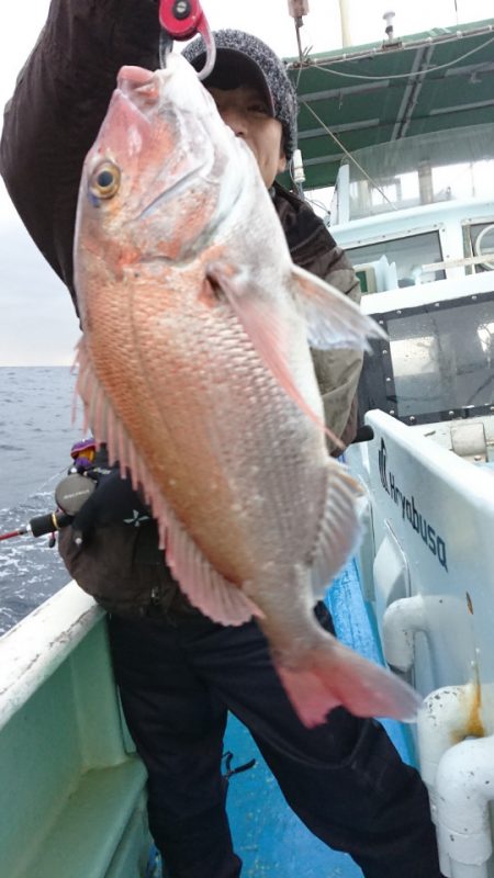 だて丸 釣果