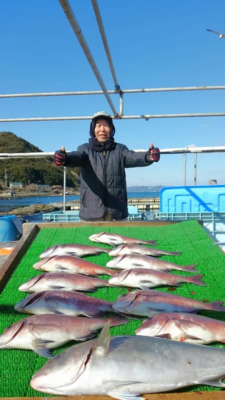 海の釣堀 海恵 釣果