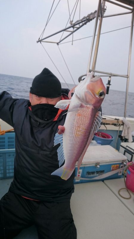 きずなまりん 釣果