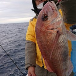 だて丸 釣果