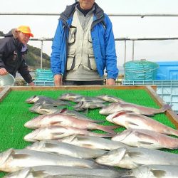 海の釣堀 海恵 釣果