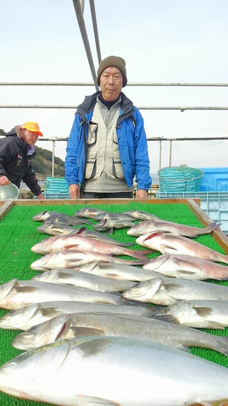 海の釣堀 海恵 釣果