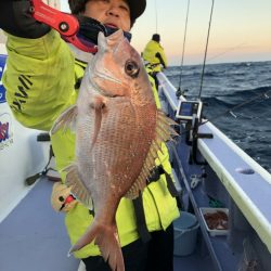 新幸丸 釣果