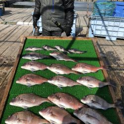 海の釣堀 海恵 釣果