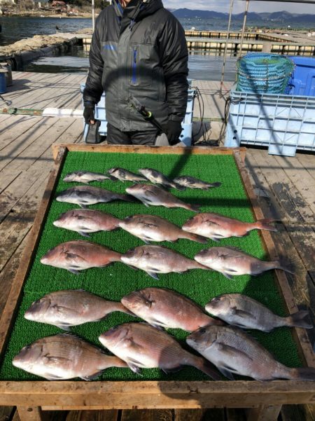 海の釣堀 海恵 釣果