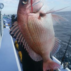 新幸丸 釣果