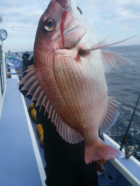 新幸丸 釣果