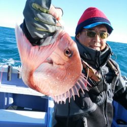 新幸丸 釣果