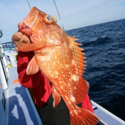 新幸丸 釣果