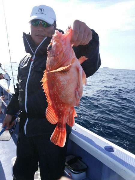 新幸丸 釣果