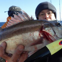 阿波哲 釣果