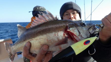 阿波哲 釣果