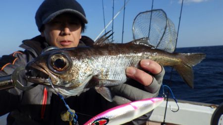 阿波哲 釣果