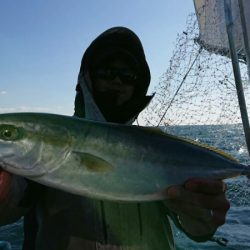 阿波哲 釣果