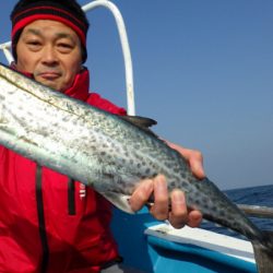 阿波哲 釣果