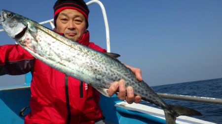 阿波哲 釣果