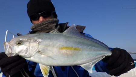 阿波哲 釣果