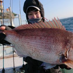 だて丸 釣果