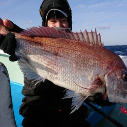 だて丸 釣果