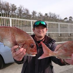 だて丸 釣果