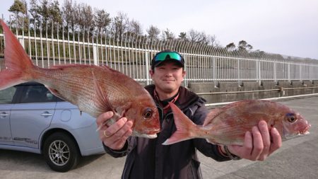 だて丸 釣果