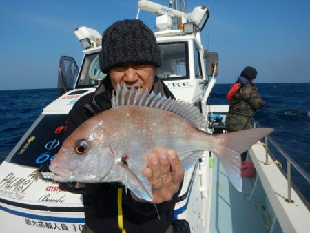 きずなまりん 釣果