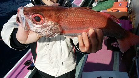 ぽん助丸 釣果